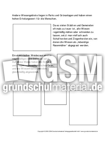 Lebensraum-Wiese-m-Fotos-4.pdf